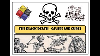 GCSE History The Black Death  Causes and Cures [upl. by Sherrer]