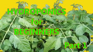 Hydroponics for Beginners DWC homemade DIY Under 50 Part 1 [upl. by Nell]