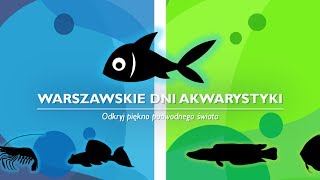 Warszawskie Dni Akwarystyki 2017  cz3 Akwaria wystawowe [upl. by Hannad]