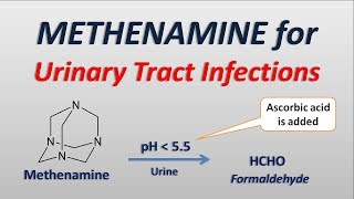 Methenamine for Urinary tract infections [upl. by Oliviero410]