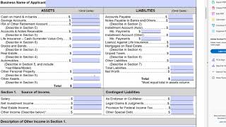 The SBA Form 413 or Personal Financial Statement and Everything You Need to Know to Fill It Out [upl. by Anegroeg]