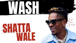 Shatta Wale  Wash Lyrics Video And Visualizer [upl. by Eicyak]