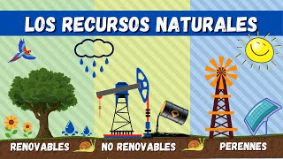 Recursos Naturales  Videos Educativos Para Niños [upl. by Langer]