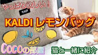 【カルディ購入品】お得でカワイイ！KALDIレモンバッグ2024を愛猫と一緒に紹介します❤️coco ねこ カルディ [upl. by Egdirdle]