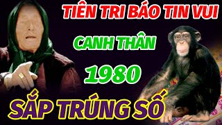 BẤT NGỜ TIN VUI ẬP ĐẾN TUỔI CANH THÂN 1980 TRONG THÁNG 11 VÀ 12 ÂM LỊCH TRỜI PHẬT ĐỘ TRÚNG SỐ GIÀU [upl. by Nerta]