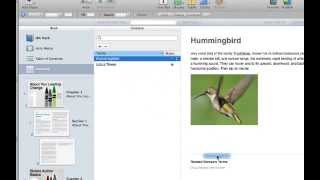 Adding Glossary Terms with Images in iBooks Author [upl. by Zolner]