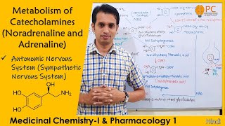 Metabolism of Catecholamines Noradrenaline amp Adrenaline  Medicinal Chemistry 4th Semester [upl. by Freda]