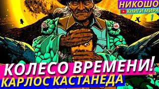 Лучшая Аудиокнига Карлоса Кастанеды Краткий Сборник Из Всех Томов Сразу Колесо Времени l НИКОШО [upl. by Collum987]