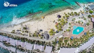 Plaza Beach Resort Bonaire [upl. by Eelrac813]