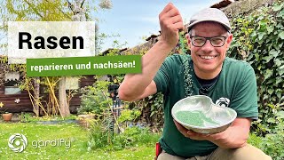 Rasen reparieren und nachsäen  gardify Tipps [upl. by Franky]