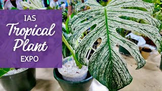 You Wont Believe the Plants I Found at the 2024 International Aroid Society Tropical Plant Expo [upl. by Eednak750]