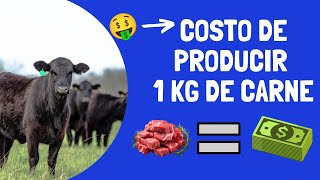 🤑🐂¿CUÁNTO CUESTA PRODUCIR 1 KG DE CARNE  ECONOMÍA GANADERA 🐂🤑 [upl. by Gavin]