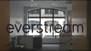 Everstream The Business Fiber Network [upl. by Almire557]