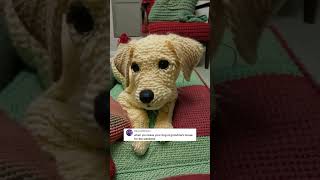 Grandma’s crocheting 🧶 is very thorough 🤭 dogs crochet [upl. by Inalan]