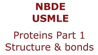 Proteins Part 1  Structure and Bonds  NBDE Biochemistry [upl. by Ronnholm]