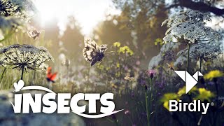 Birdly Insects Trailer [upl. by Cicenia841]