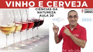 AULA 20  CIÊNCIAS DA NATUREZA  VINHO OU CERVEJA  ENCCEJA 2024  ENSINO MÉDIO E FUNDAMENTAL [upl. by Nivlek]