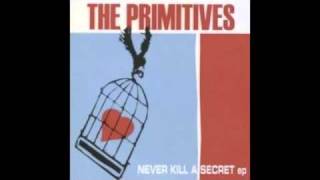 The Primitives  Never Kill a Secret [upl. by Enoch]