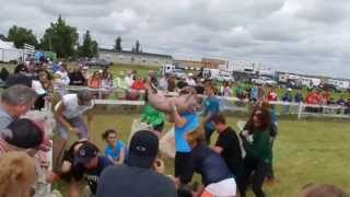 Pig Scramble at Creelman Fair 2013 [upl. by Gerlac]