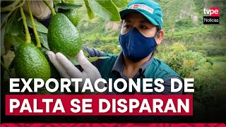 Los agricultores de Palta de Huánuco están consolidando una asociación [upl. by Aisatan948]