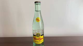 Topo Chico Sparkling Water test  pH and TDS [upl. by Viquelia]