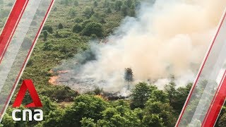 Fighting hazecausing forest fires in Indonesias Jambi province [upl. by Crofoot]