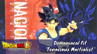 Demoniacal Fit Tenacious Martialist Review [upl. by Elna]