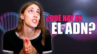 El ADN EXPLICADO  La Hiperactina [upl. by Heyman560]