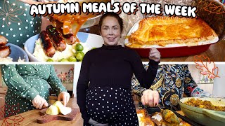 Budget Autumnal Meals We Ate This Week  October 2024 [upl. by Trebled]