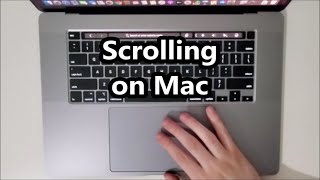 How to Scroll Up or Down with TrackPad on MacBook Pro 16 [upl. by Fredette]