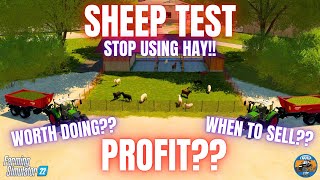 SHEEP TEST  Farming Simulator 22 [upl. by Ientirb956]