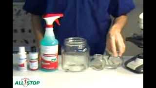 AMAZING Liceadex Lice Treatment System  KILL LICE NOW [upl. by Owen579]