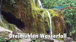 DreimühlenWasserfall  Hillesheim  RheinEifelTV [upl. by Nyluqcaj]