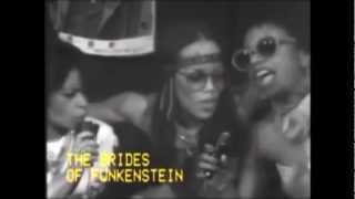 The Brides of Funkenstein Blackbyrd Clip Payne amp Jeff Bunn [upl. by Richelle892]