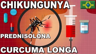 CHIKUNGUNYA  PREDNISOLONA  CURCUMA LONGA  Curcumina [upl. by Drooff]