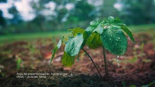 DeTodosParaTodos  Área de Sostenibilidad de Agroenergía ASA  Ecopetrol [upl. by Audwin]