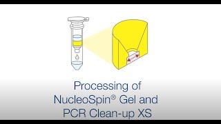 Processing of NucleoSpin Gel and PCR Cleanup XS [upl. by Christen824]