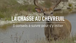 La chasse au chevreuil  Trois conseils pour sy initier [upl. by Gilmer]