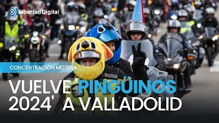 Vuelve Pingüinos 2024 a Valladolid con miles de moteros [upl. by Nhguaval657]