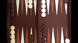 How To Play Backgammon [upl. by Marchese]