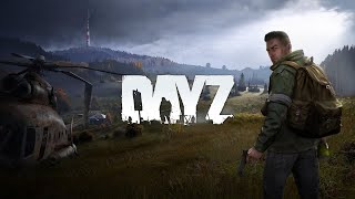 DayZ NO COMENT  1440p [upl. by Aihsatal]