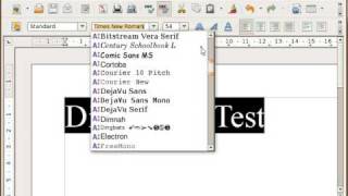 Windows TrueType Fonts in Ubuntu Teil 1 von 2 [upl. by Chill]