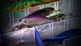 Best Lures for Spring Lake Trout [upl. by Awe]