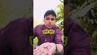 Urinary infection  Prostatitis पेशाब में इन्फेक्शन जलन प्रोस्टेट  mishraveda [upl. by Dranal707]