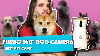 Furbo 360° Review Best Pet Camera and Treat Dispenser with Optional AI [upl. by Lemar872]