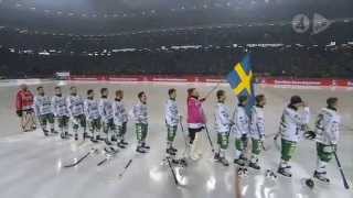 Hammarby  Sandviken 94  SMFinal 2013  HD [upl. by Iormina]