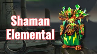 SHAMAN ELEMENTAL TORRE DE MAGOS DRAGONFLIGHT [upl. by Ferrand]