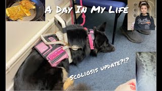 A Day In My Life Come Shopping And To My AppointmentsServiceAssistance Dog [upl. by Atekehs]