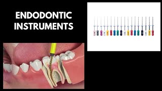 Endodontic Instruments  BDS endodontics [upl. by Tnilc]