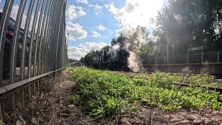 SVR No 828 maneuvers at Eridge Station 5 October 2024 [upl. by Nyrek]